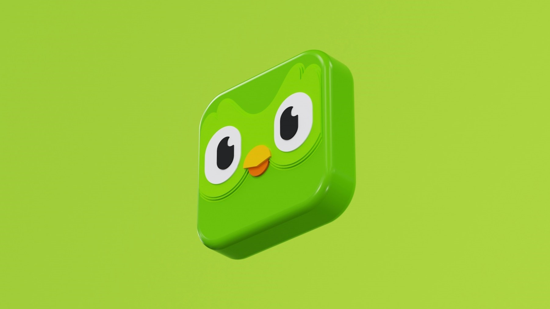 Groen 3D-logo van Duolingo met het uilengezicht prominent op een egaal groene achtergrond